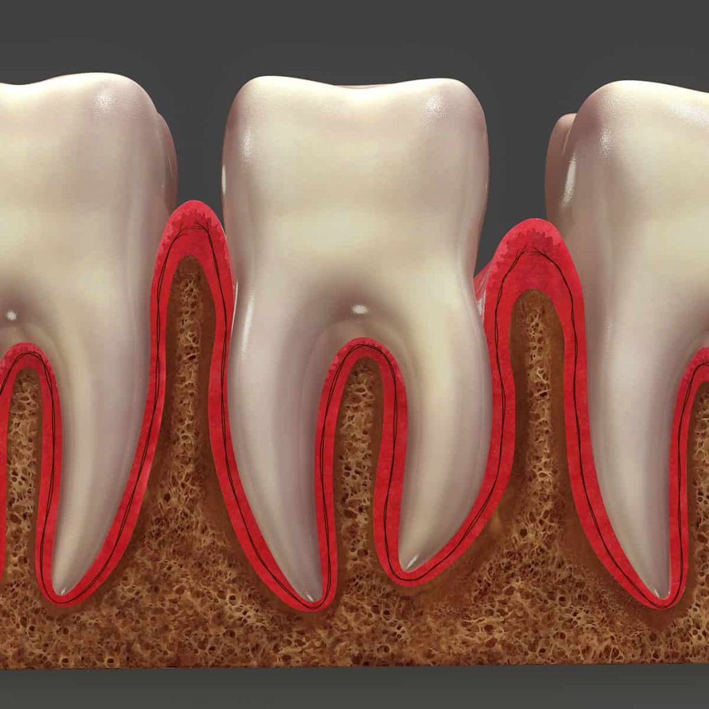 Connection Between Osteoporosis And Oral Health