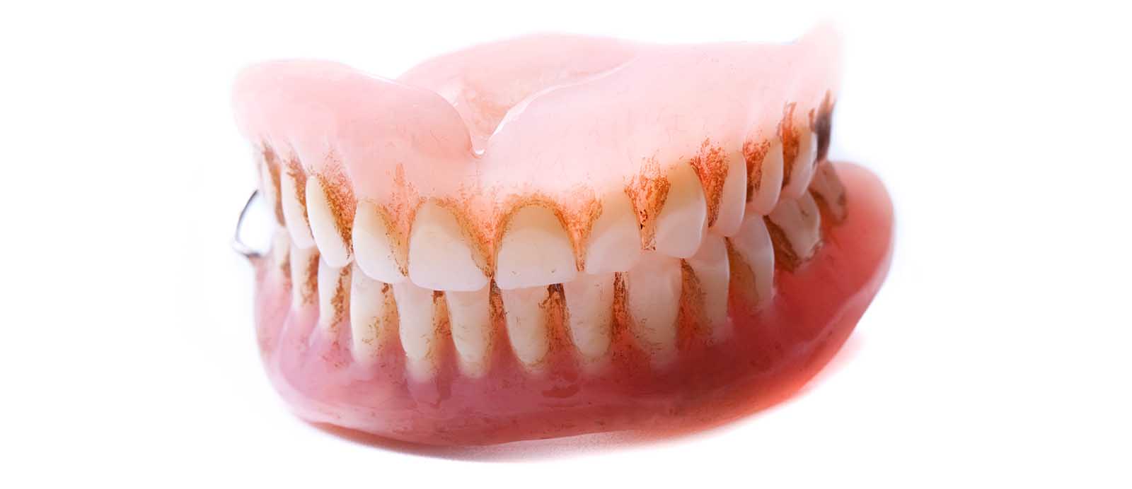 Denture On A White Background - Denture Cleanliness And Denture Care