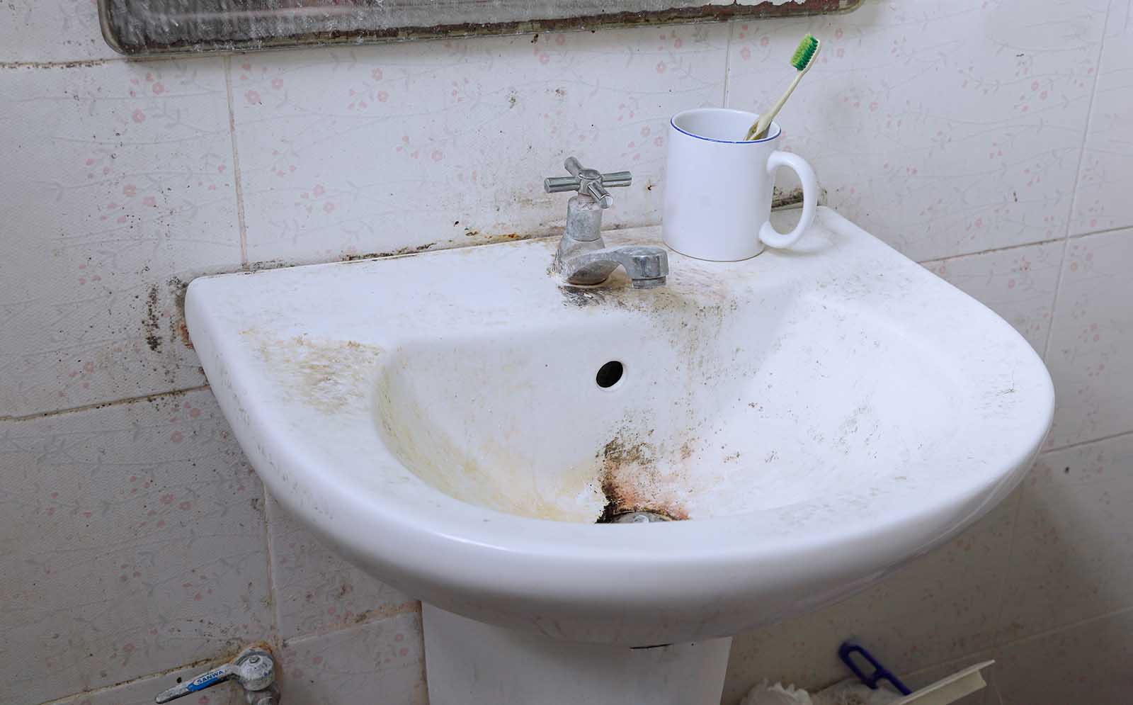 Mouldy Toothbrush Environments Encourage Fungus To Grow