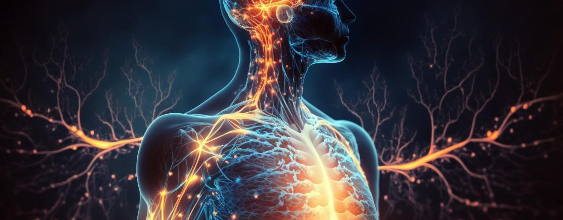 The link between body inflammation and oral health